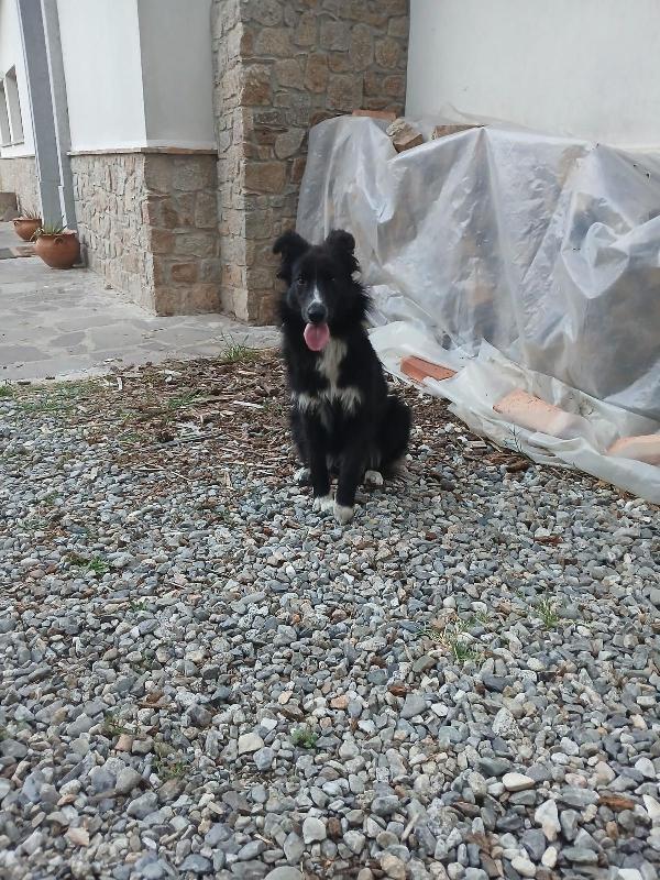 Quattro Calzini Foto 5